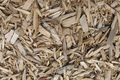 biomass boilers Penwood